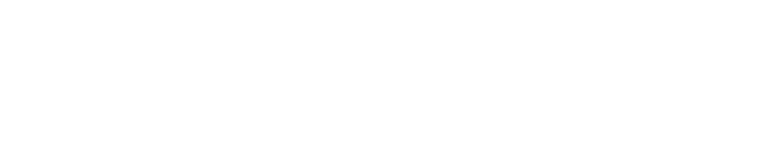 LeilaAI